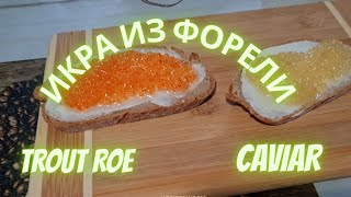 ЗАСОЛКА ИКРЫ #икра ИКРА ИЗ ФОРЕЛИ