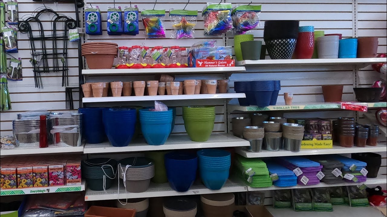 Gardening on the cheap at dollar Tree - YouTube