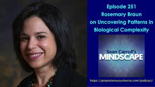 Mindscape 251 | Rosemary Braun on Uncovering Patterns in Biological Complexity