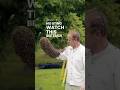 The Shocking Way Beekeepers Move Thousands of Bees Without Getting Stung!