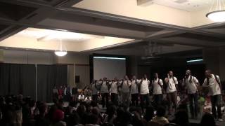 2013 NPHC Alumni Stroll Kappas 2