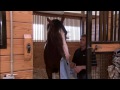 Matz: Union Rags' Redemption