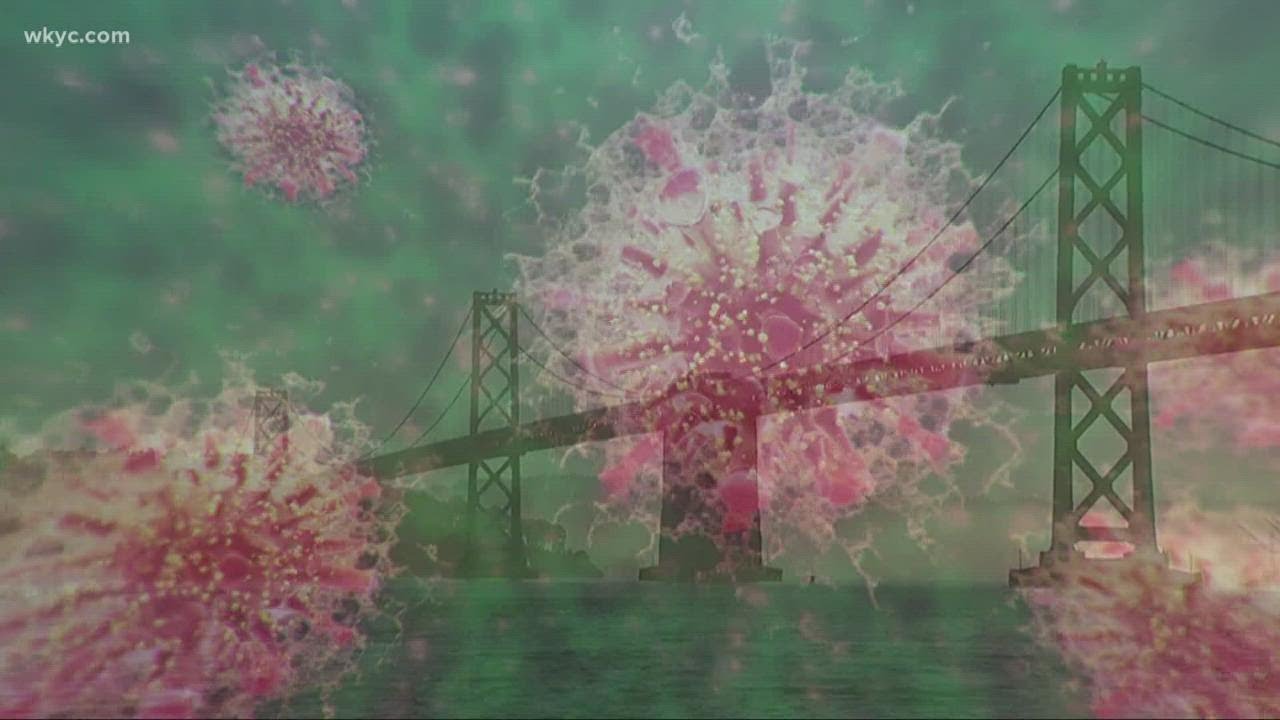 United States confirms first case of omicron variant in California ...