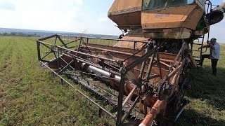 картинка: Уборка озимого гороха  НС 