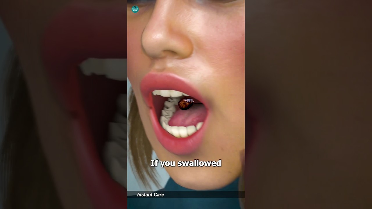 Can seed grow in your stomach 🌳🌳 YouTube