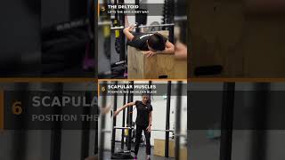Your shoulder training is missing these 8 💪