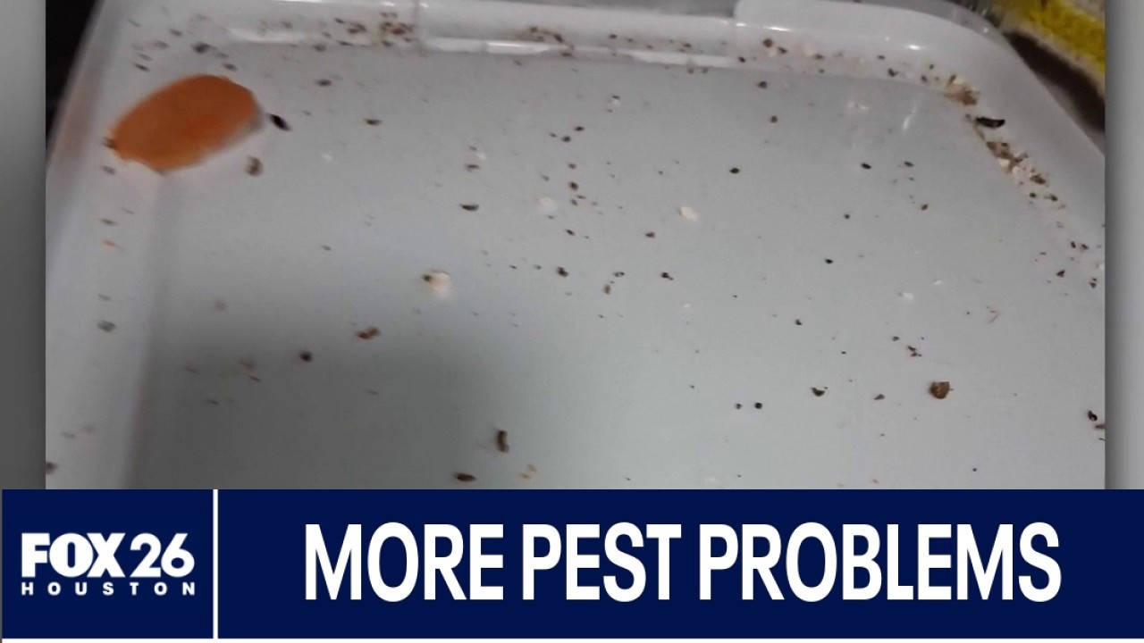 More pest complaints reported at senior complex in The Woodlands