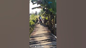 Aksi Pro Wanita Ini Bawa Motor di Jembatan Kayu, Temannya Malah Panik Heboh Sendiri