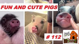 Favorite Friends #112 / FUN AND CUTE PIGS