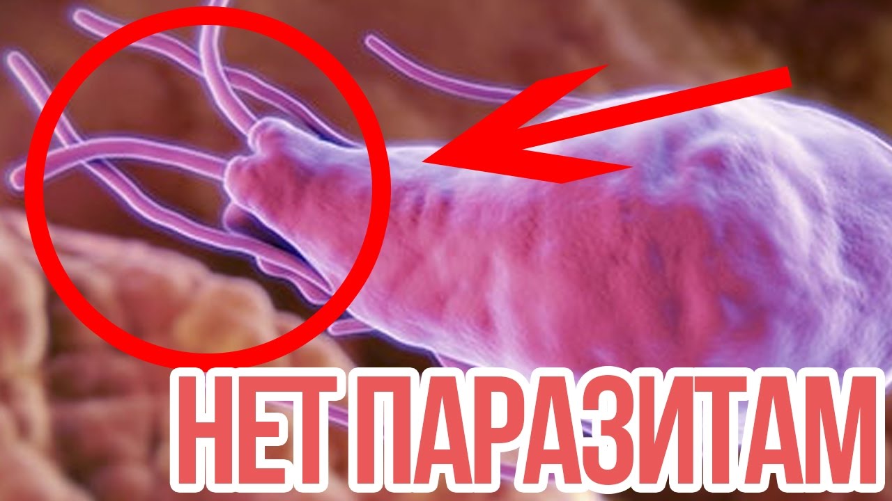 Как не заразиться глистами - YouTube