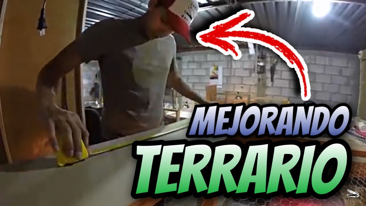 Mejorando el Encierro de los Tegus - YouTube