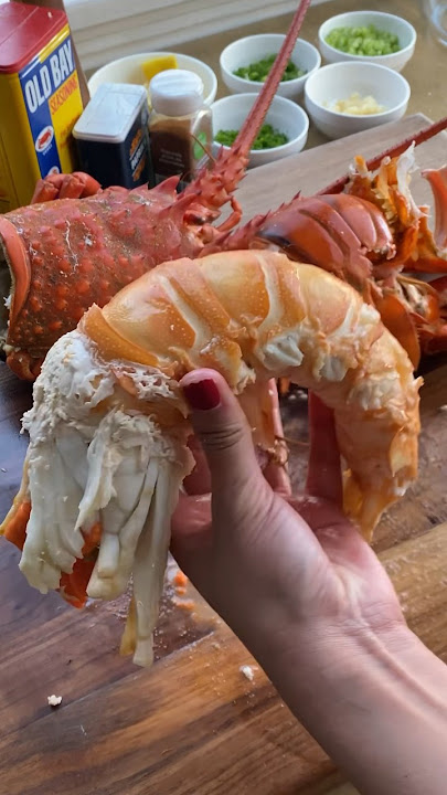 Spiny Lobster ASMR. 🦞 #lobster #spinylobster #seafood #asmr #foodporn #yummy #delicious #roe