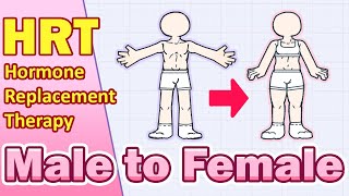 Hormone Replacement Therapy MALE to FEMALE timeline 2025
