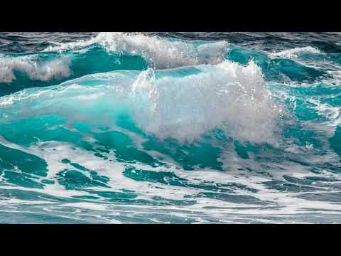 Движение вод мирового океана видеоурок