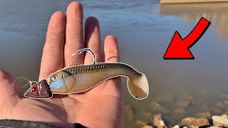 Throwing Huge Swimbaits for Hybrid Striped Bass! (Ohio River Fishing)