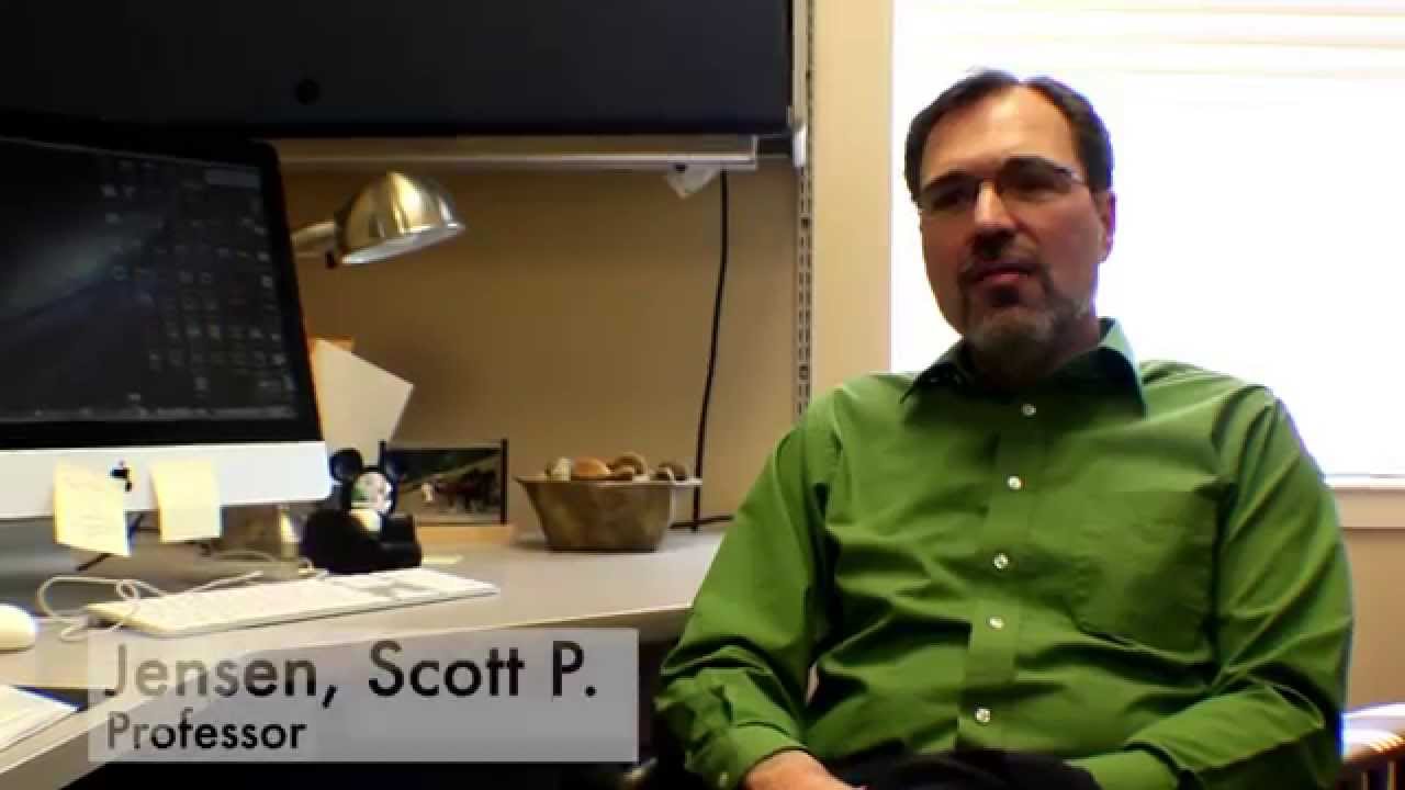 Brazil deforestation