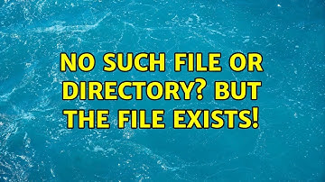 No such file or directory? But the file exists!