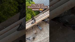 A Day In My Lifeഒരു ഹോസ്പിറ്റൽ വിശേഷം കേട്ടാലോ 🥴😇#shorts #fyp #minivlog #dayinmylife #momlife