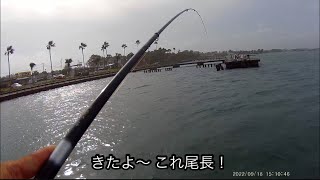 浜名湖 海釣り公園 台風前 泳がせの餌釣り 浜名湖 海釣り公園 台風 泳がせ 餌 魚釣り系you Tuberまとめサイト Fishing 浜名湖 海釣り公園 台風前 泳がせの餌釣り 浜名湖 海釣り公園 台風 泳がせ 餌 魚釣り系you Tuberまとめサイト Fishing