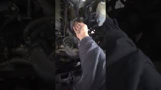 Celebrity 2014-2019 Gmc/Chevy fan staying on Net Worth