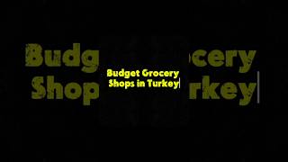 Budget Grocery Shopping in Turkey 🇹🇷 BİM vs A101 vs ŞOK vs Migros
