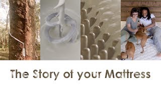 The Story of Your Savvy Rest Organic Mattress