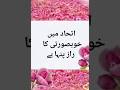 Article / itehad me khubsurti