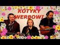 Котики Вербові (На твої слова)  Українська пісня