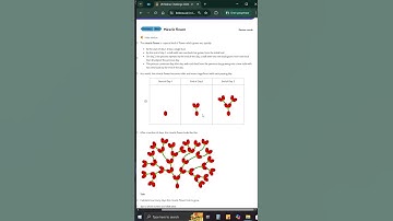 UK Bebras Challenge Quiz How to Answer Miracle Flower Coding Challenge Walkthrough Inters Juniors