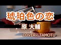 琥珀色の恋 (原 大輔) COVER(TAMOTU)
