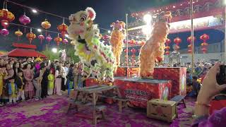 Soaring Phoenix Lion Dance At Teen How Temple