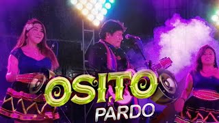 OSITO PARDO 🤟 CONCIERTO EN TACNA 🍻🍾