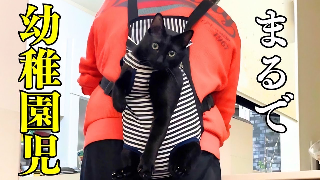 猫おやじ様 Never leaving my side! A day in the life of a clingy former stray