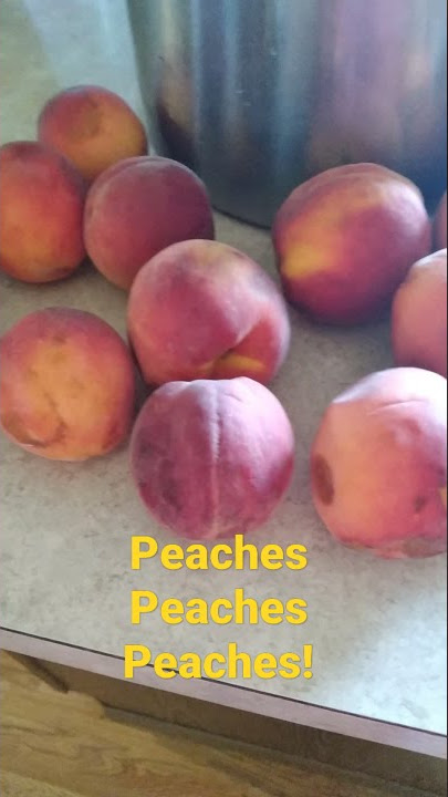 Processing Peaches! Making Peach Jam! #shorts