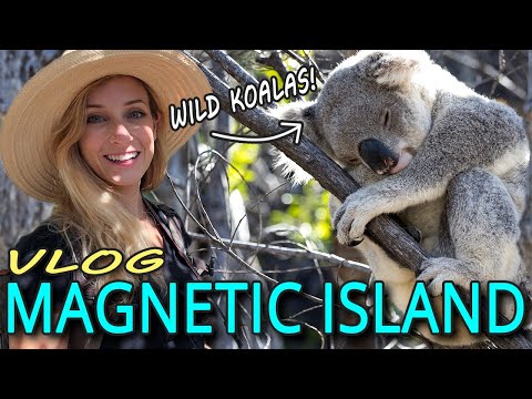 Vídeo: O Guia Completo da Ilha Magnética da Austrália