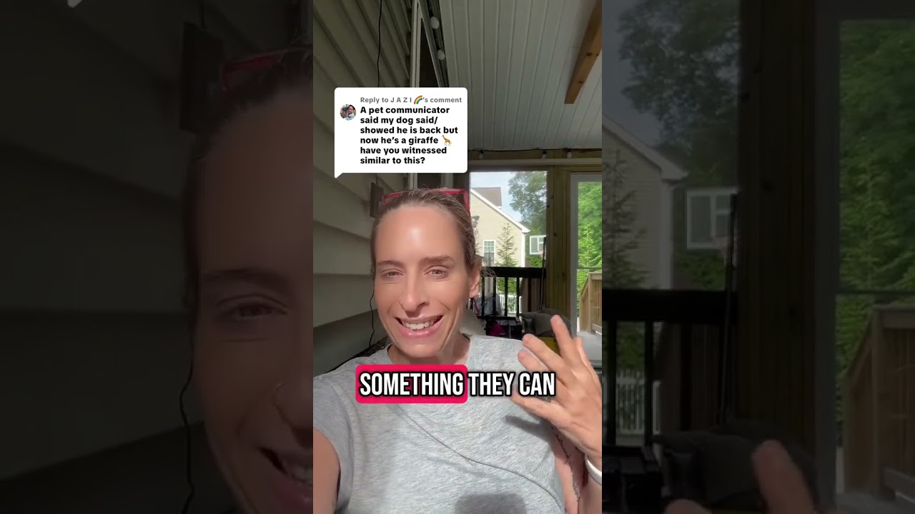 Can a dog reincarnate as a giraffe? 