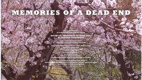 スヨン＆BOYS AND MEN 田中俊介主演、吉本ばなな小説原作の日韓合作映画「デッドエンドの思い出」2019年2月に公開決定 Big News TV