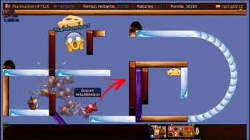 Transformice - Playing account Droxrc (67k First)