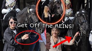 "Let it Go"! UNSTOPPABLE Rude Tourists Keep Holding the Horse's REINS!