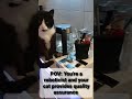 Cats and robots
