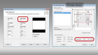 Epson ColorWorks TM-C3500 | Setting Label Dimensions in Nice Label