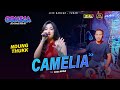 Camelia  intan afifah oomega ft  faris kendang  live tuban dhehanpro