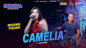 CAMELIA - Intan Afifah OOMEGA Ft ( Faris Kendang ) Live Tuban #dhehanpro