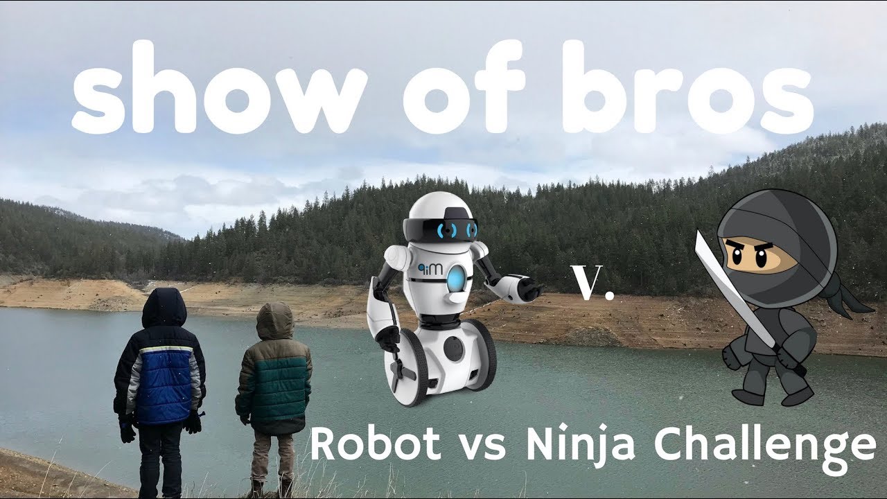 gaming logo Robot vs Ninja Battle Challenge