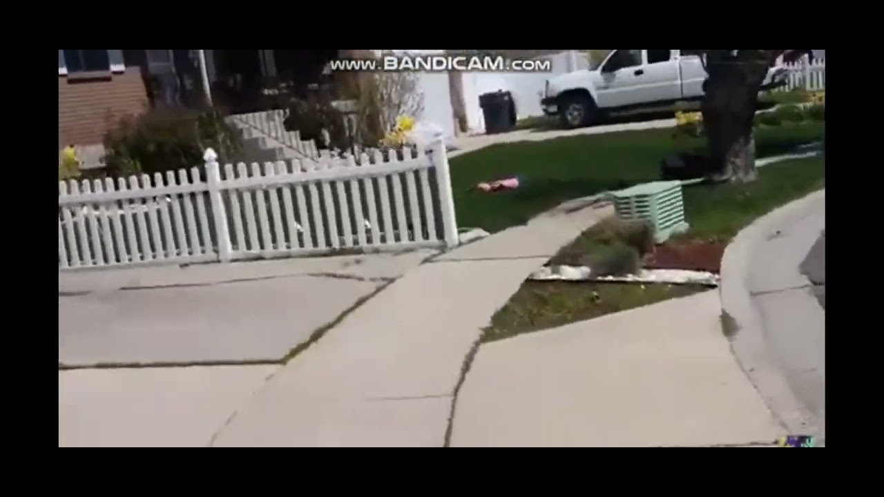 oh shiitake mushrooms kids crying ( to oh shiitake mushrooms)