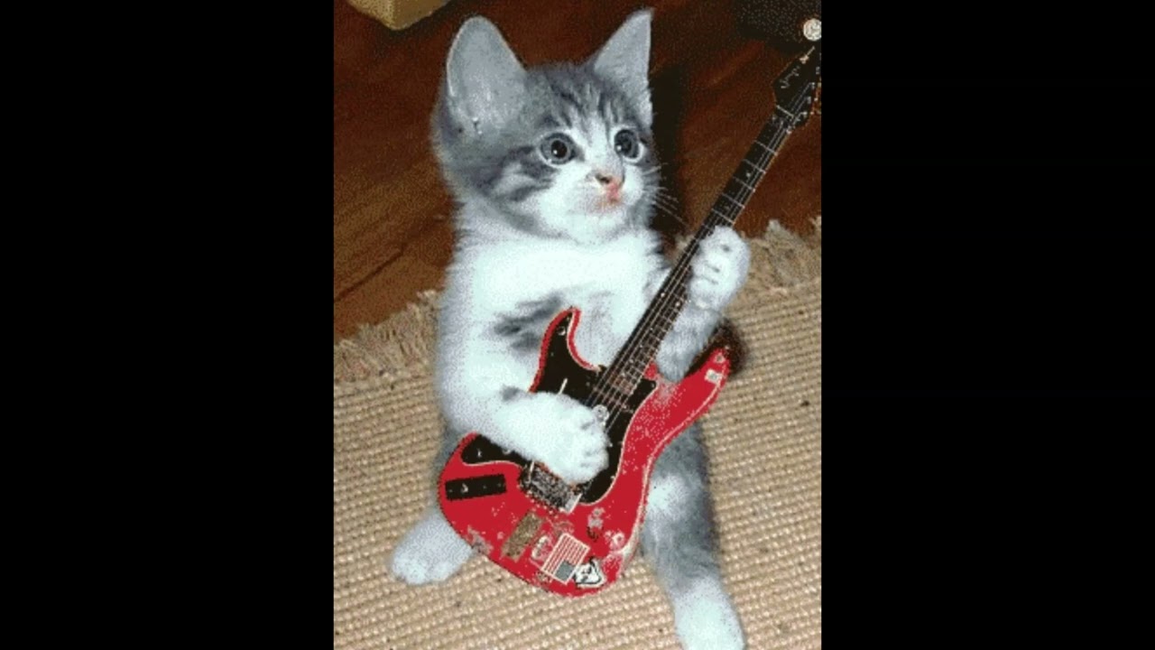 [free] hoodtrap x guitar l rock n roll jerk type beat - 