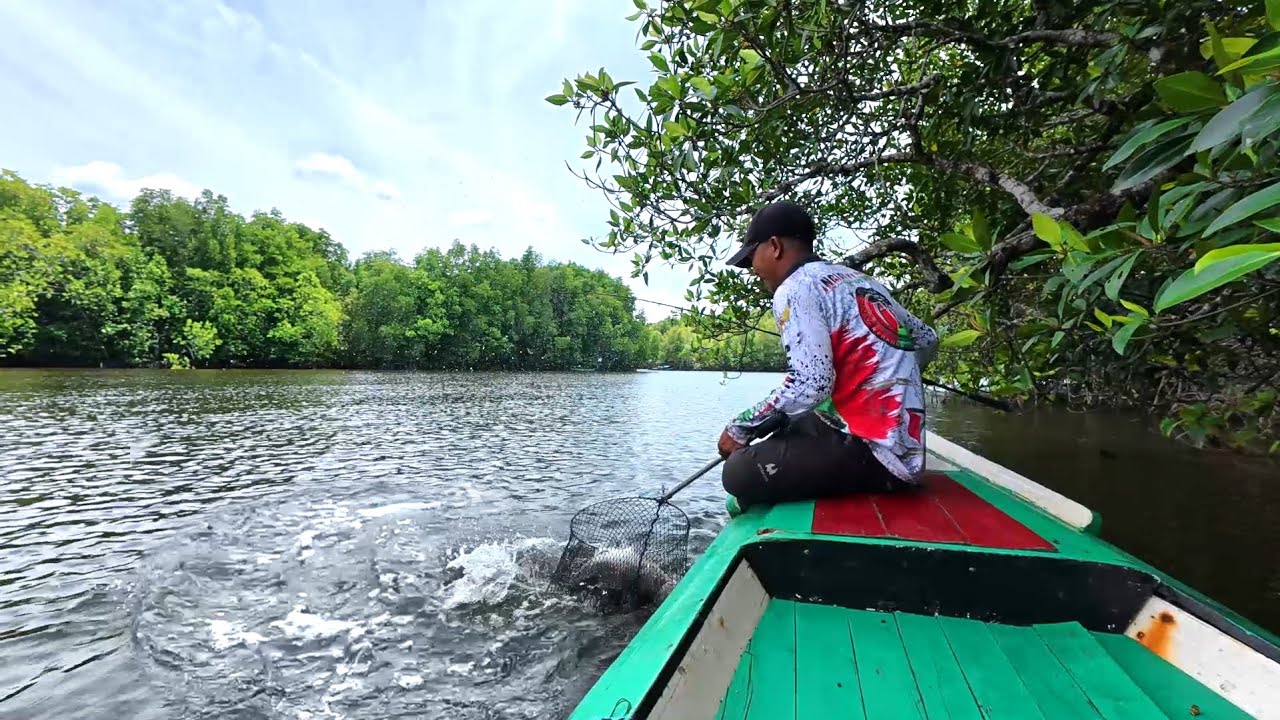 Rejeki dapat banyak udang dan ikan kakap saat mancing, menjala dan bermalam di sungai hutan bakau