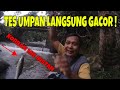 mancing umpan mie instan dapat jackpot melem padahal baru pertama tes di spot ini