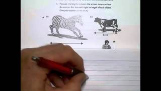 MTW UNIT 5 Task 3  1