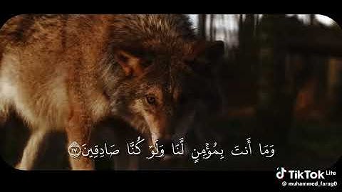 سوره يوسف القارئ احمد كاسب